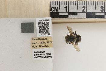 Media type: image;   Entomology 789237 Aspect: Labels